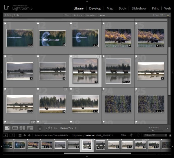 Effortless Photo Organization: Lightroom Smart Collections for Busy Photographers