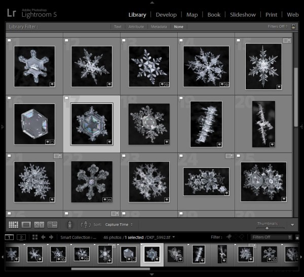 Effortless Photo Organization: Lightroom Smart Collections for Busy Photographers