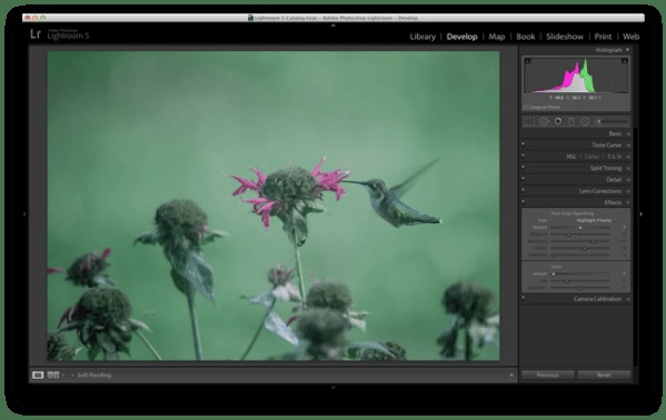 Master Lightroom s Radial Filter: 3 Powerful Uses to Elevate Your Photos