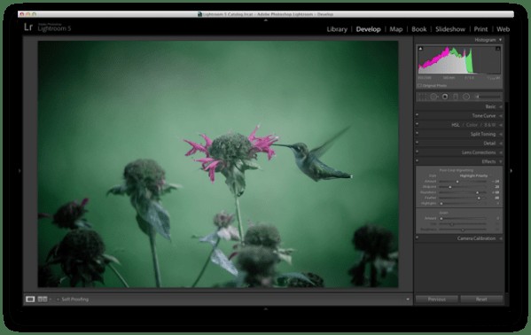 Master Lightroom s Radial Filter: 3 Powerful Uses to Elevate Your Photos