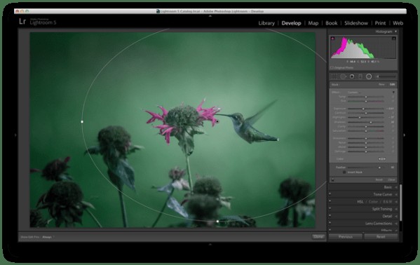 Master Lightroom s Radial Filter: 3 Powerful Uses to Elevate Your Photos