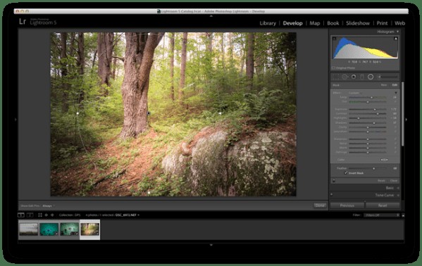 Master Lightroom s Radial Filter: 3 Powerful Uses to Elevate Your Photos