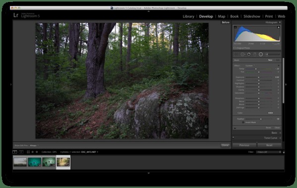 Master Lightroom s Radial Filter: 3 Powerful Uses to Elevate Your Photos