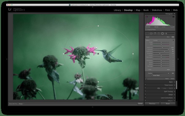 Master Lightroom s Radial Filter: 3 Powerful Uses to Elevate Your Photos