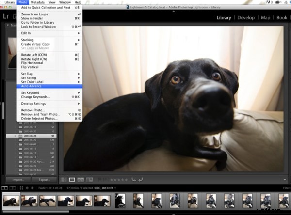 4 Proven Tips to Accelerate Your Lightroom Workflow