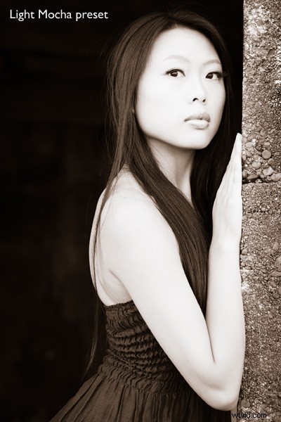 Master Lightroom Develop Presets: Concise Guide to Faster, Consistent Editing