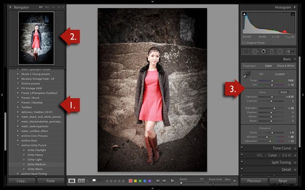 Master Lightroom Develop Presets: Concise Guide to Faster, Consistent Editing