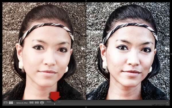 Master Lightroom Develop Presets: Concise Guide to Faster, Consistent Editing