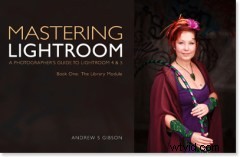 Master Lightroom Develop Presets: Concise Guide to Faster, Consistent Editing