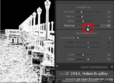 Lightroom Develop Module Tips: Unlock the Magic Alt Key for Instant Visualization