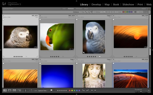 Master Keywords in Lightroom 5: Creative Strategies for Smarter Photo Organization