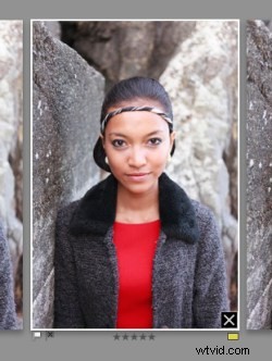 How to Compare Images Like a Pro in Lightroom 5 s Survey View