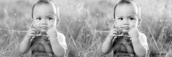 Master Stunning High-Contrast Black & White Portrait Edits in Lightroom
