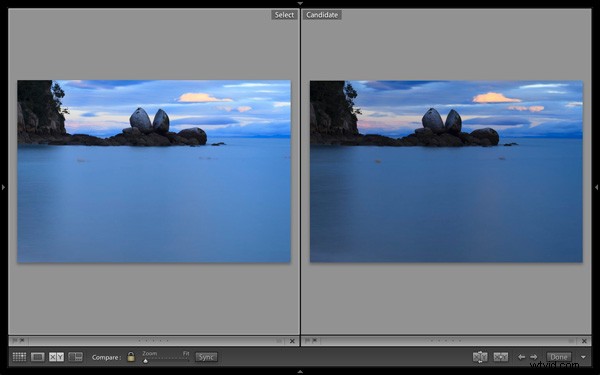 Master Image Selection: Lightroom 5 s Compare View Guide