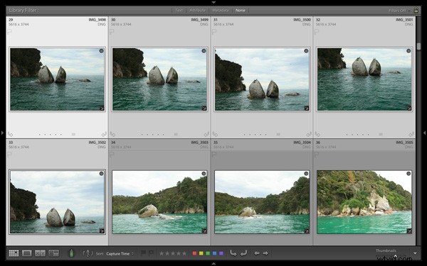 Master Image Selection: Lightroom 5 s Compare View Guide