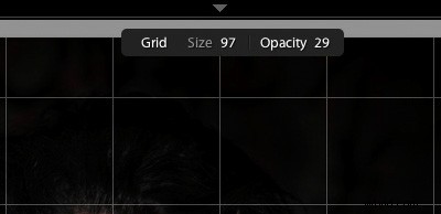 Master Lightroom 5 s Loupe View: Unlock Hidden Features and Pro Tips
