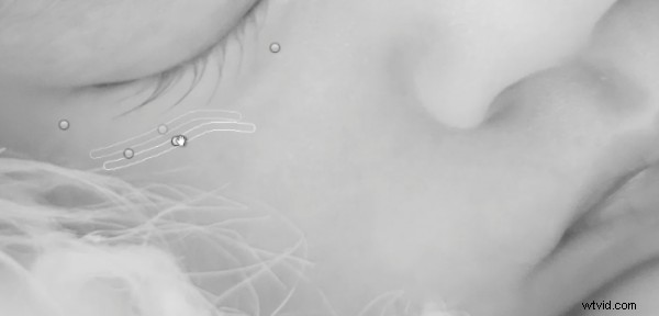 Master Soft Black & White Newborn Portraits in Lightroom: Pro Tutorial