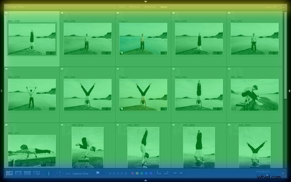 Master Lightroom s Grid View: Essential Customization Tips for Efficient Photo Organization
