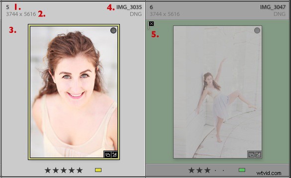 Master Lightroom s Grid View: Essential Customization Tips for Efficient Photo Organization