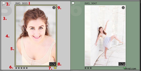 Master Lightroom s Grid View: Essential Customization Tips for Efficient Photo Organization