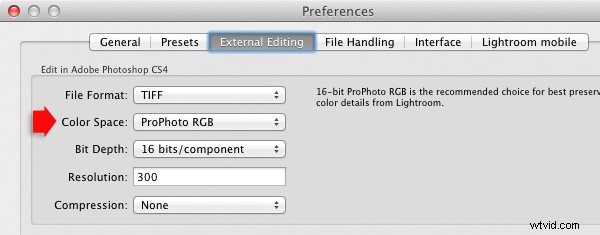Mastering Lightroom Color Spaces: Complete Guide for Photographers