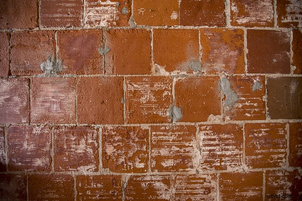 Discover 4 Underutilized Tools in Lightroom s Lens Correction Module