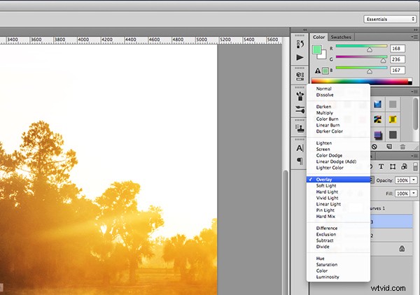Photoshop vs. Lightroom: Which Photo Editor is Right for You?