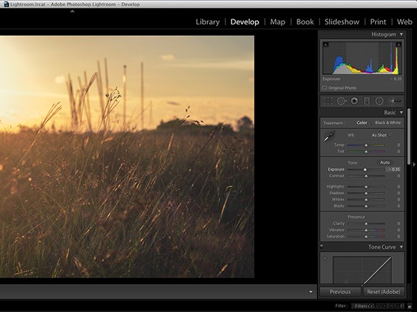 Photoshop vs. Lightroom: Which Photo Editor is Right for You?