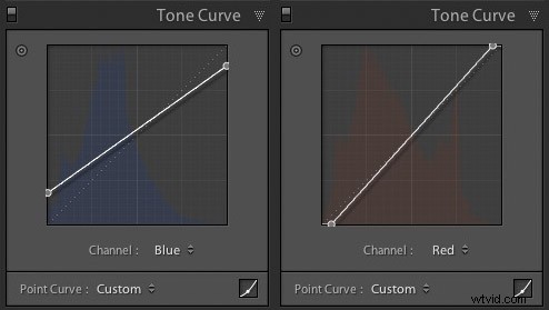 Master Lightroom Editing: Learn Pro Processing Tips from Develop Presets