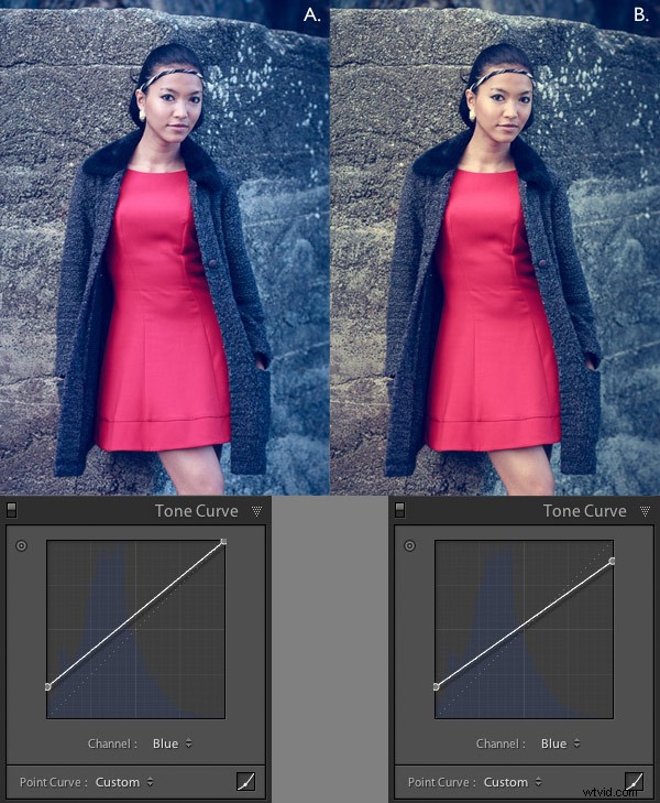 Master Lightroom Editing: Learn Pro Processing Tips from Develop Presets