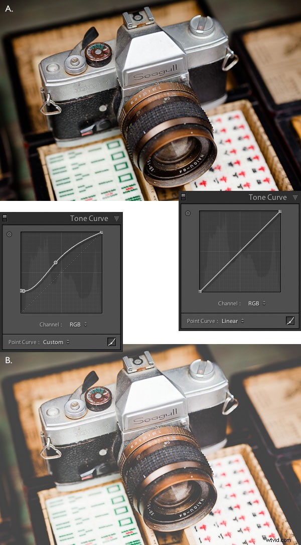 Master Lightroom Editing: Learn Pro Processing Tips from Develop Presets