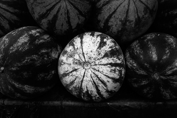 Master Stunning Black & White Photos with Local Adjustments in Lightroom 5