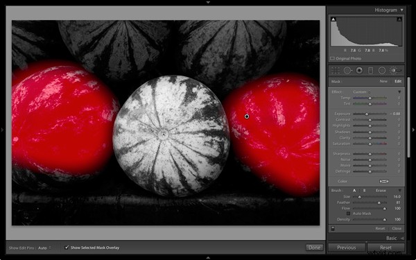 Master Stunning Black & White Photos with Local Adjustments in Lightroom 5