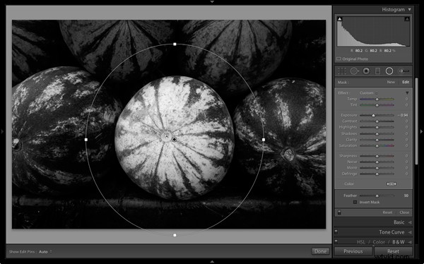 Master Stunning Black & White Photos with Local Adjustments in Lightroom 5