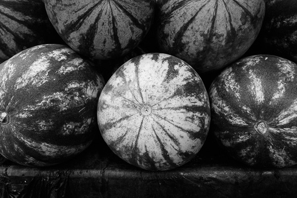 Master Stunning Black & White Photos with Local Adjustments in Lightroom 5