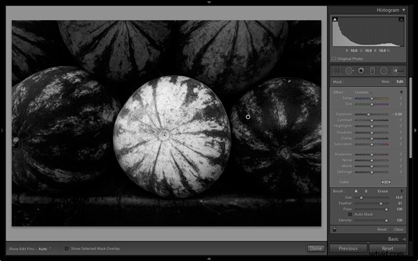 Master Stunning Black & White Photos with Local Adjustments in Lightroom 5