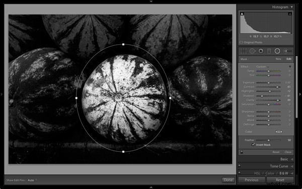 Master Stunning Black & White Photos with Local Adjustments in Lightroom 5