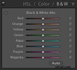 Master Black & White Photo Conversions in Lightroom: Pro Step-by-Step Guide