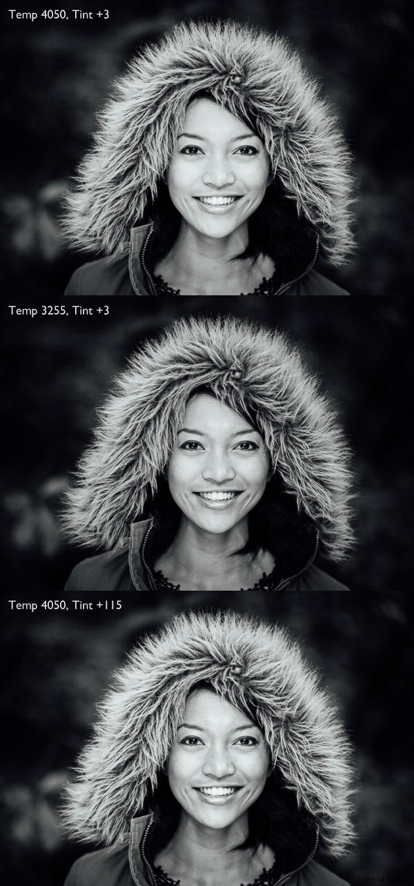 Master Black & White Photo Conversions in Lightroom: Pro Step-by-Step Guide