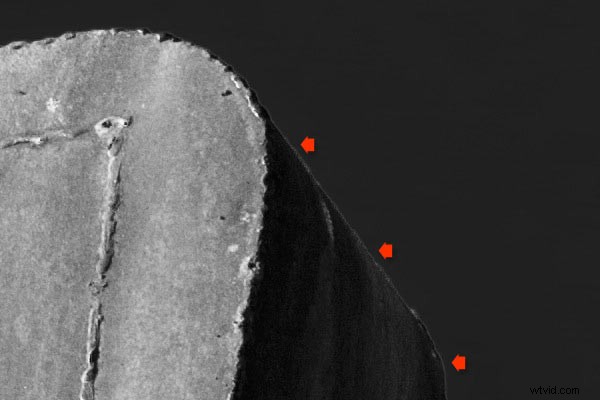 Master Black & White Photo Conversions in Lightroom: Pro Step-by-Step Guide