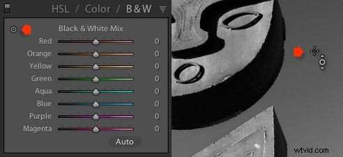 Master Black & White Photo Conversions in Lightroom: Pro Step-by-Step Guide