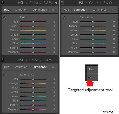 Master HSL Color Editing in Lightroom: Pro Techniques for Stunning Photos