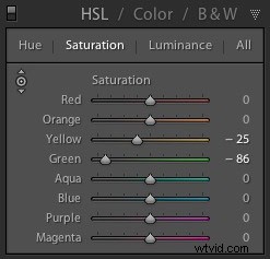 Master HSL Color Editing in Lightroom: Pro Techniques for Stunning Photos