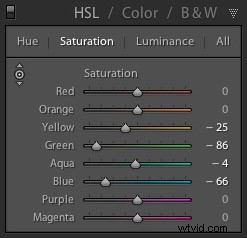 Master HSL Color Editing in Lightroom: Pro Techniques for Stunning Photos