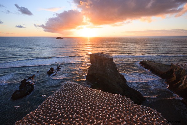 Master Lightroom s Graduated Filter: Pro Tips to Elevate Your Images