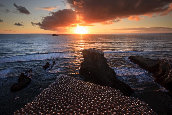 Master Lightroom s Graduated Filter: Pro Tips to Elevate Your Images