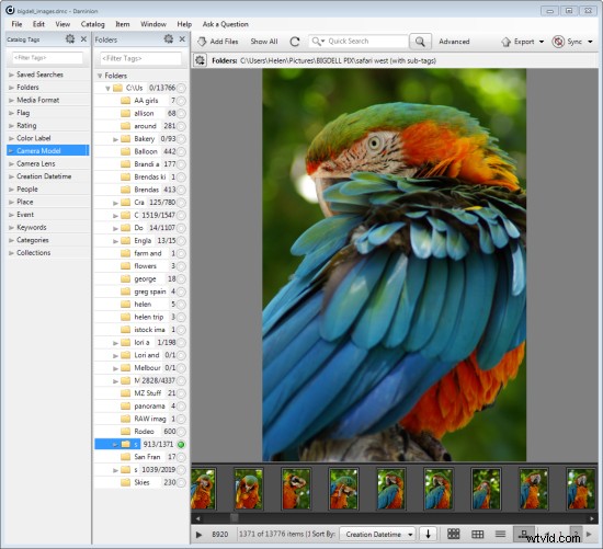 Master Large Photo Libraries: Advanced Lightroom Integration with Daminion