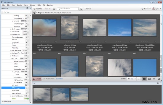 Master Large Photo Libraries: Advanced Lightroom Integration with Daminion