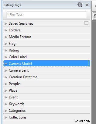 Master Large Photo Libraries: Advanced Lightroom Integration with Daminion