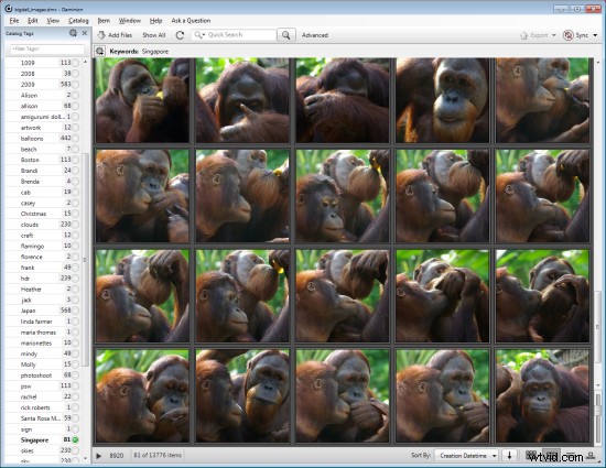Master Large Photo Libraries: Advanced Lightroom Integration with Daminion